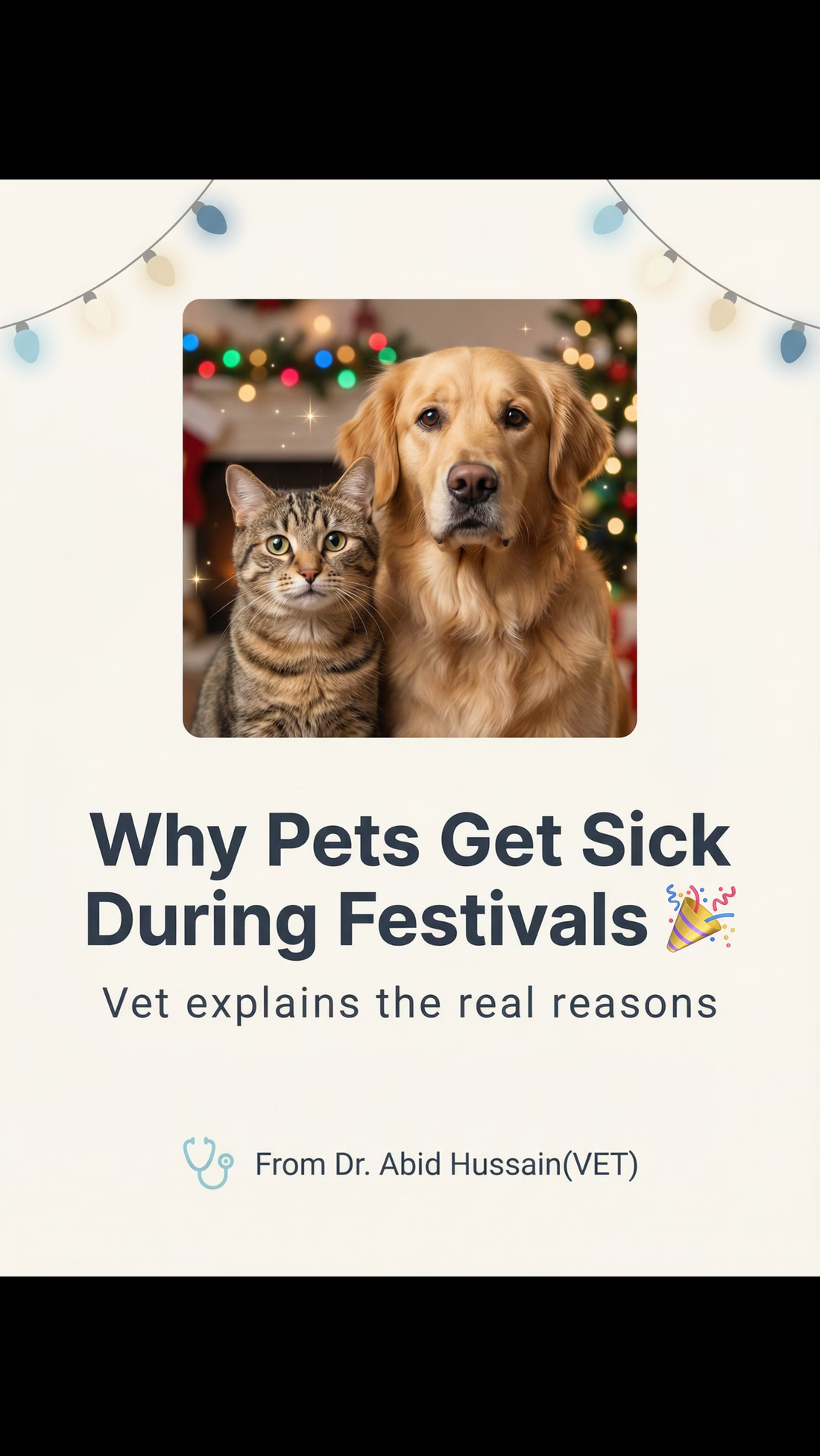 Why Pets Get Sick During Festivals (Vet-Approved Guide for Pet Parents)