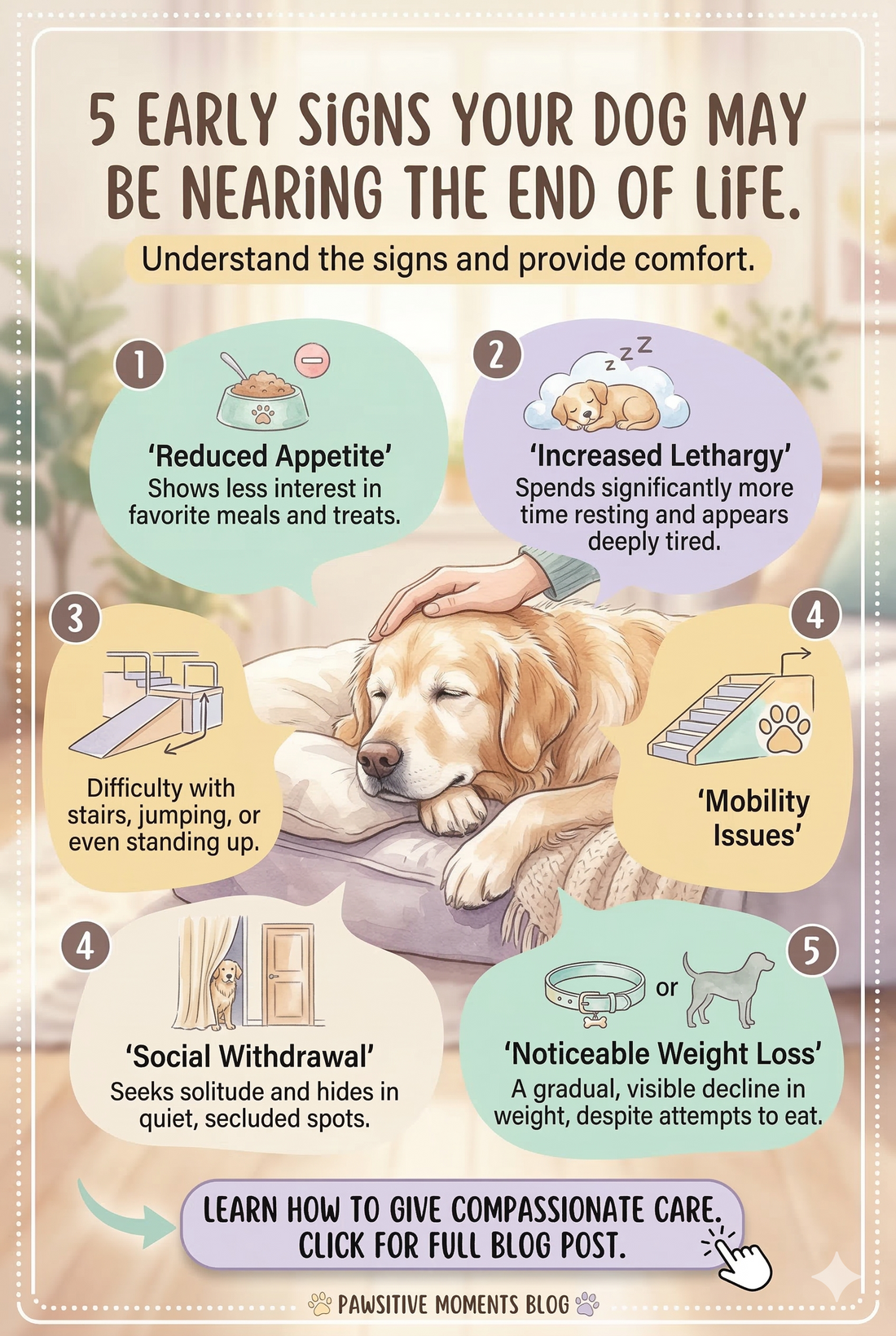 How Dogs Behave Before Death (Early Signs to Watch For)