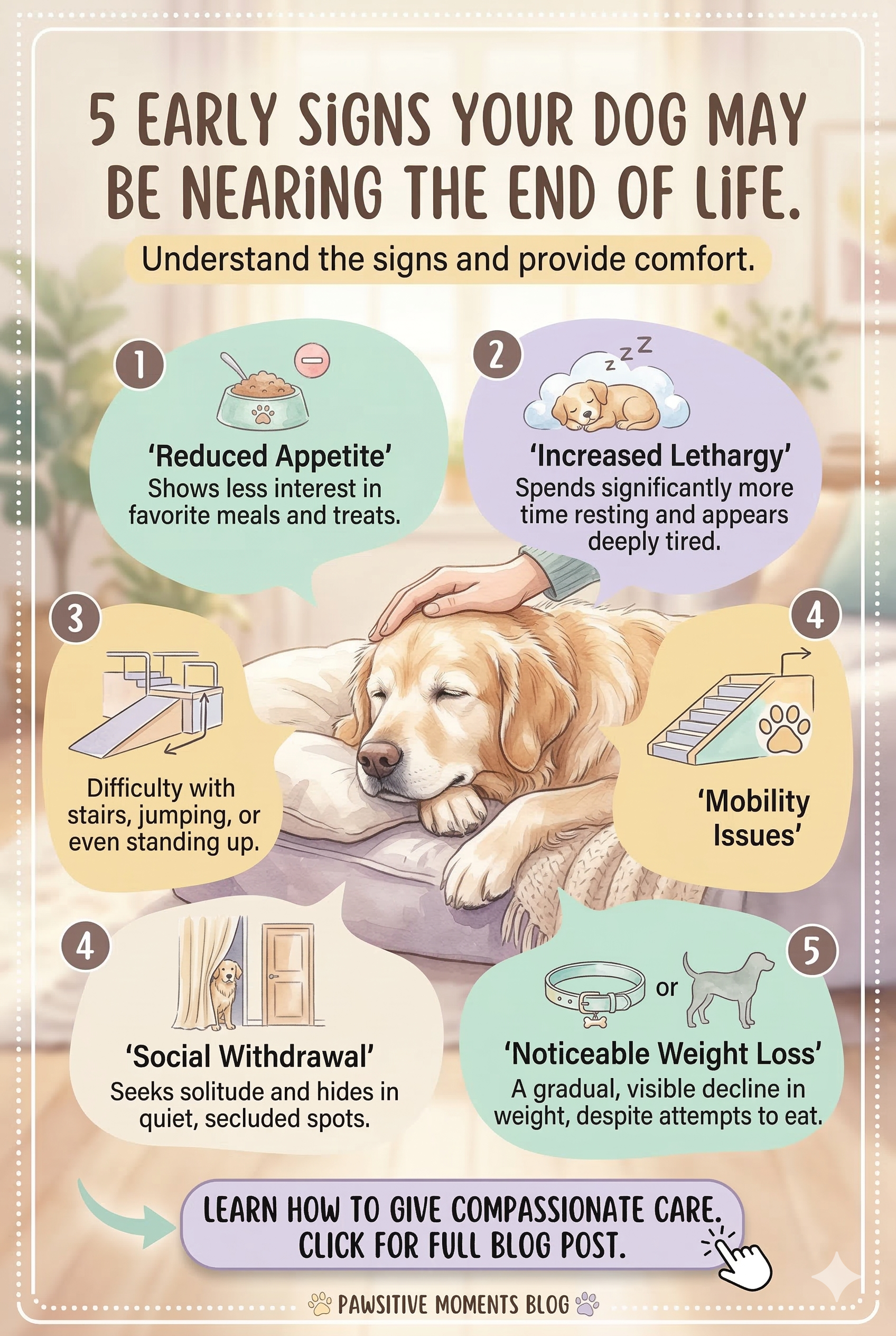 How Dogs Behave Before Death (Early Signs to Watch For)