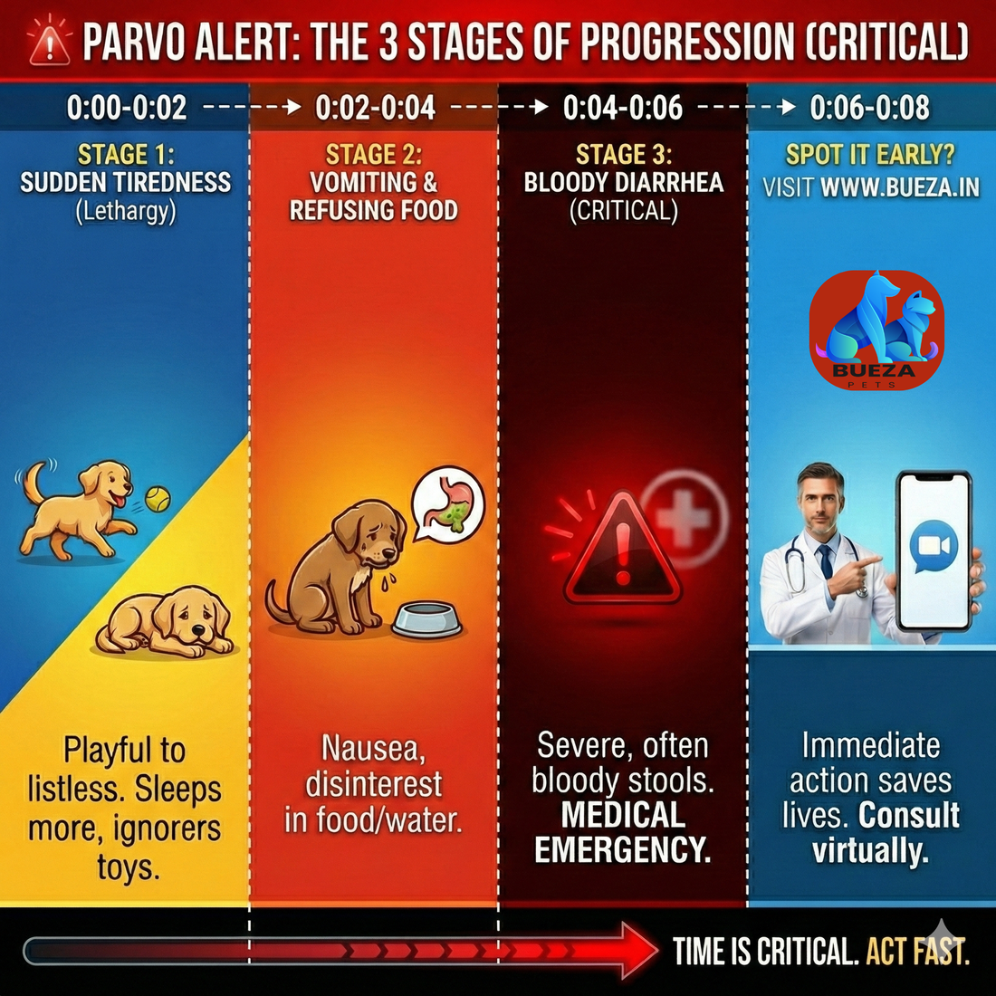 From Tiredness to Crisis: How Fast Does Parvo Kill? (And How to Stop It)