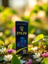 ZYLIV_BUEZA_2.jpg