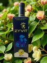 ZYVIT_BUEZA_3.jpg