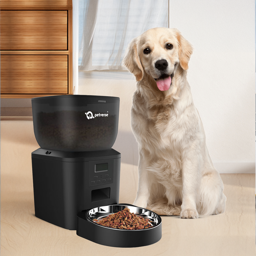 Best_automatic_pet_feeder_in_India.png?v=1755772783&width=1800