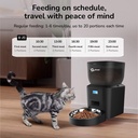 scheduled-automatic-feeder-cats.jpg?v=1755856311&width=1800