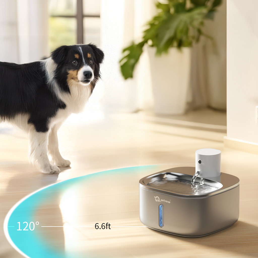 Automatic_dog_water_dispenser.png?v=1755773461&width=1800
