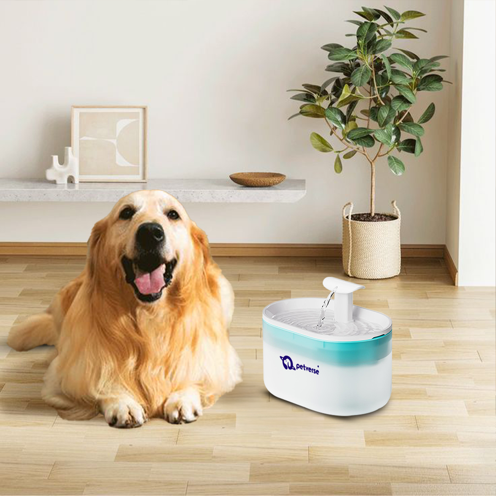 Smart_water_fountain_for_cats_and_dogs.png?v=1755773663&width=1800